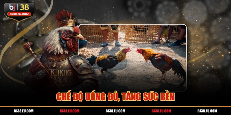 Chế độ uống đủ, tăng sức bền