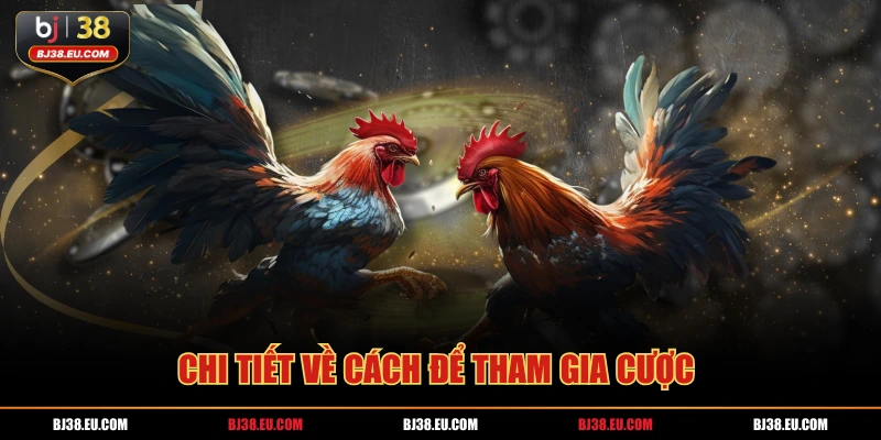Chi tiết về cách để tham gia cược 