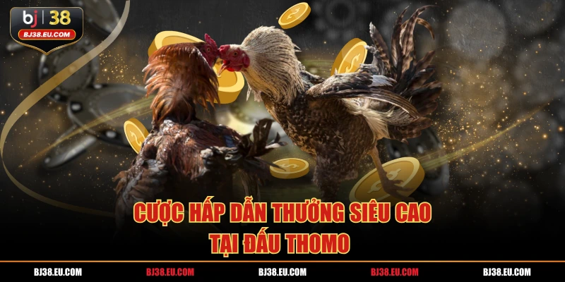 Cược hấp dẫn thưởng siêu cao tại đấu thomo 