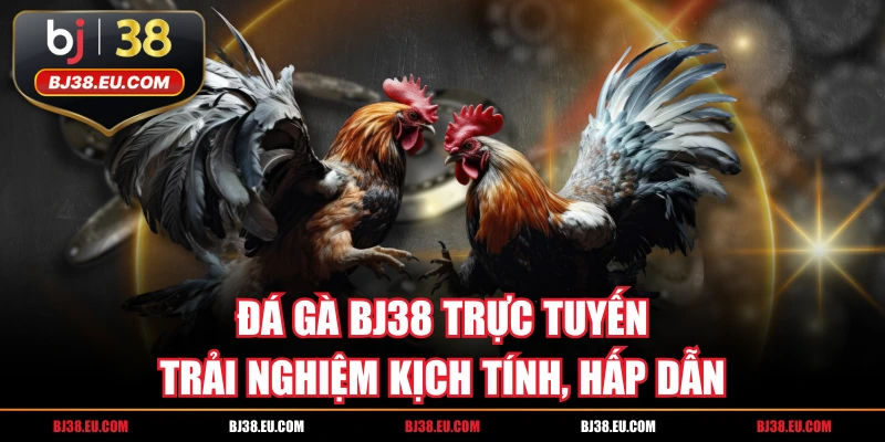 Đá Gà BJ38 Trực Tuyến | Trải Nghiệm Kịch Tính, Hấp Dẫn
