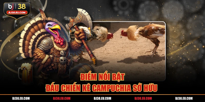 Điểm nổi bật đấu chiến kê campuchia sở hữu 