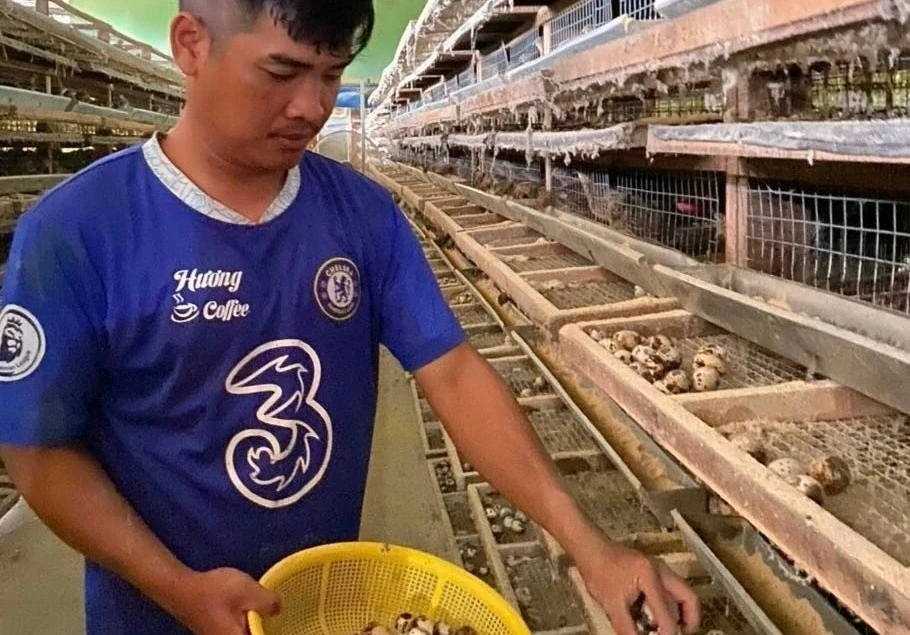 Founder BJ38 - Ngô Đình Khải