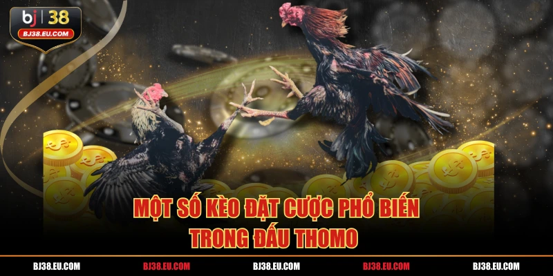 Một số kèo đặt cược phổ biến trong đấu thomo 