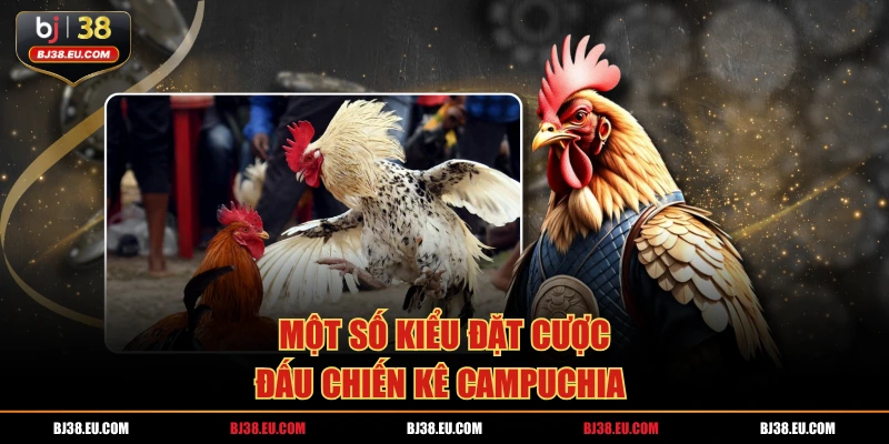 Một số kiểu đặt cược đấu chiến kê campuchia 