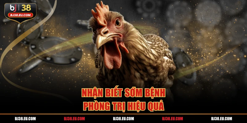 Nhận biết sớm bệnh và cách trị bệnh hen ở gà hiệu quả