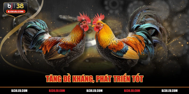 Tăng đề kháng, phát triển tốt