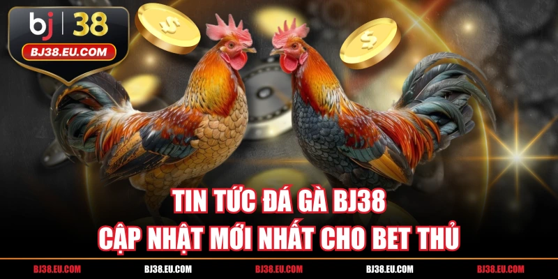Tin Tức Đá Gà BJ38 - Cập Nhật Mới Nhất Cho Bet Thủ