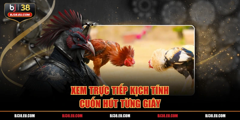 Xem trực tiếp kịch tính, cuốn hút từng giây